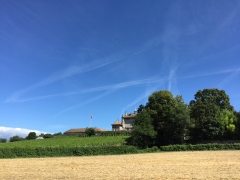 2016_Field_SM (22)